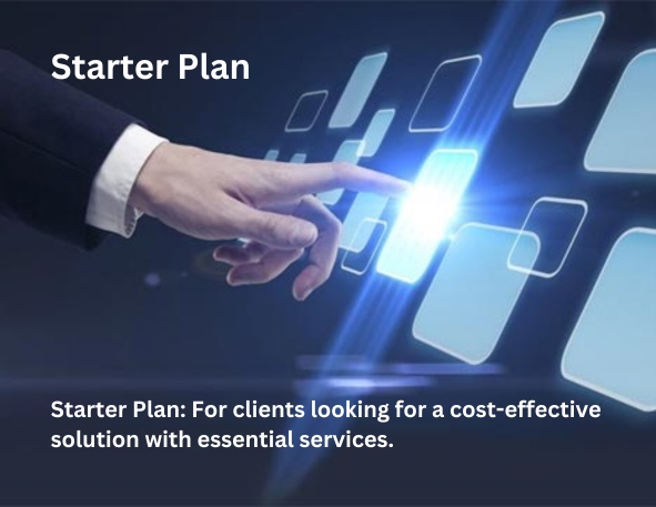 Starter Plan: For clients looking for a cost-effective solution with essential services.
