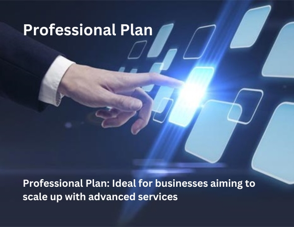 Professional Plan: Ideal for businesses aiming to scale up with advanced services.