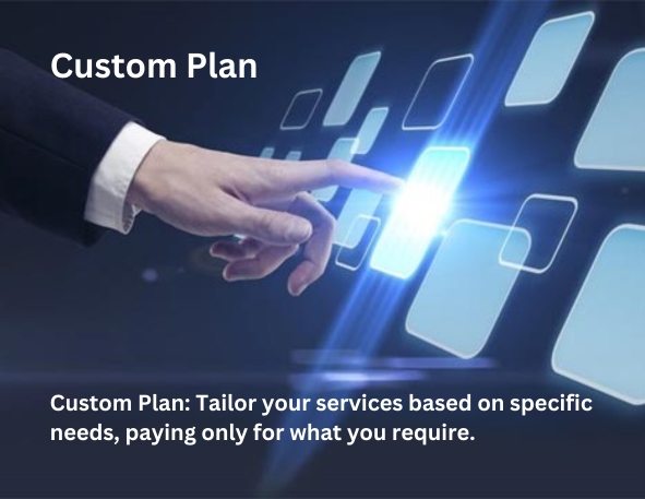 Custom Plan: Tailor your services based on specific needs, paying only for what you require.